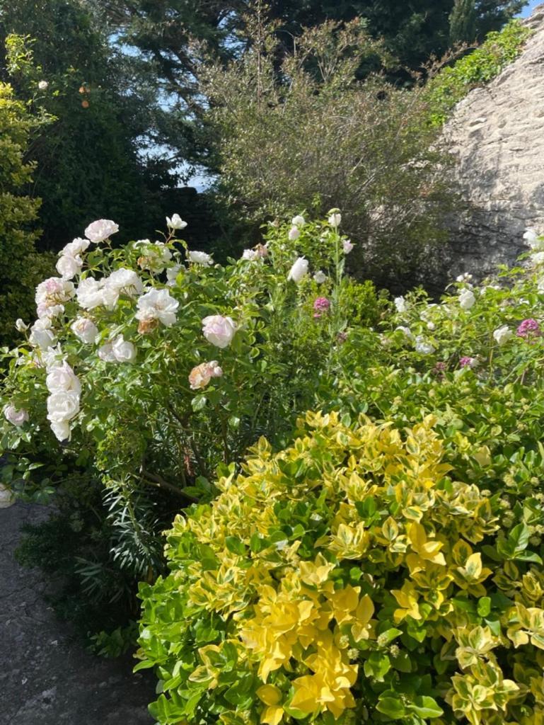 Bed and Breakfast La Borie En Provence Горд Экстерьер фото