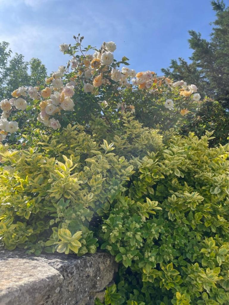 Bed and Breakfast La Borie En Provence Горд Экстерьер фото