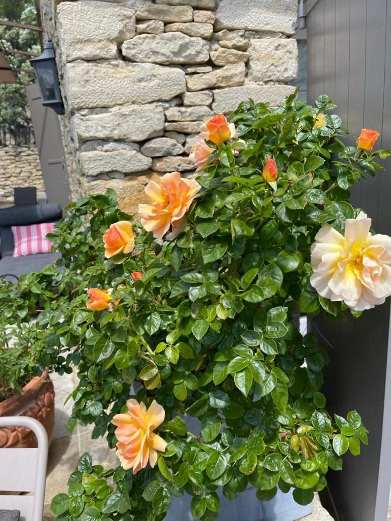 Bed and Breakfast La Borie En Provence Горд Экстерьер фото