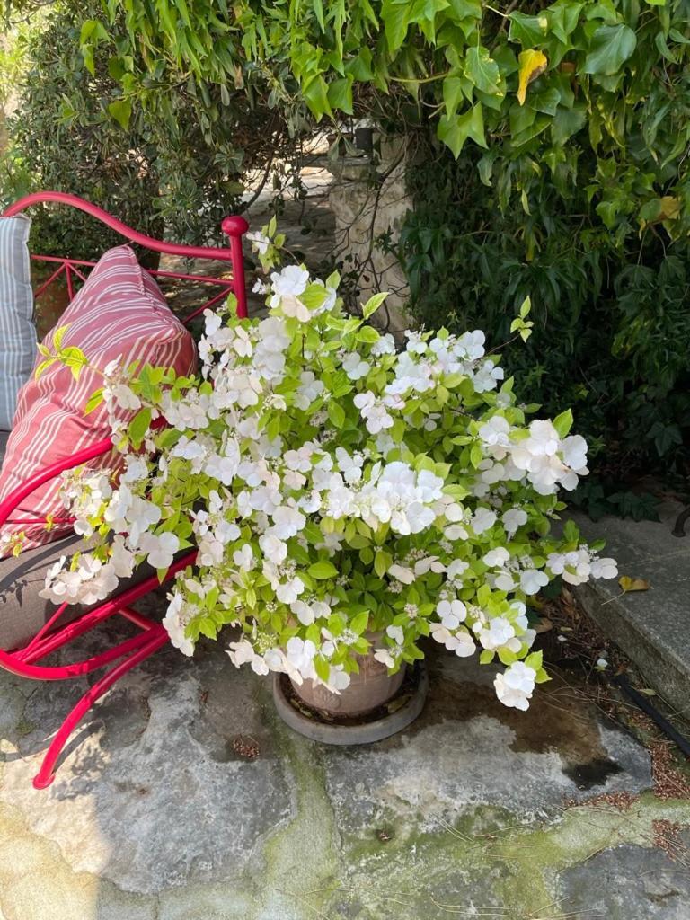 Bed and Breakfast La Borie En Provence Горд Экстерьер фото