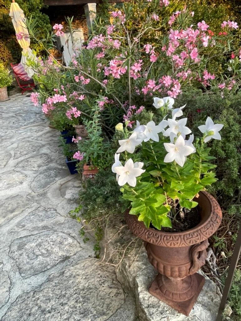 Bed and Breakfast La Borie En Provence Горд Экстерьер фото